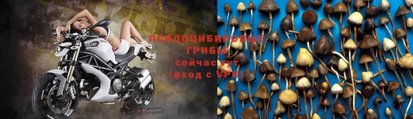 каннабис Алексеевка